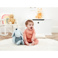 Winnie de Poeh Hundred Acre Wood Iejoor knuffel 26.5 cm